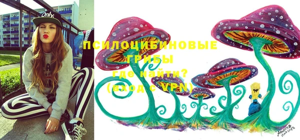 apvp Красноперекопск