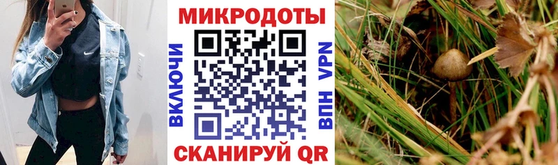 Псилоцибиновые грибы ЛСД цена наркотик Малгобек